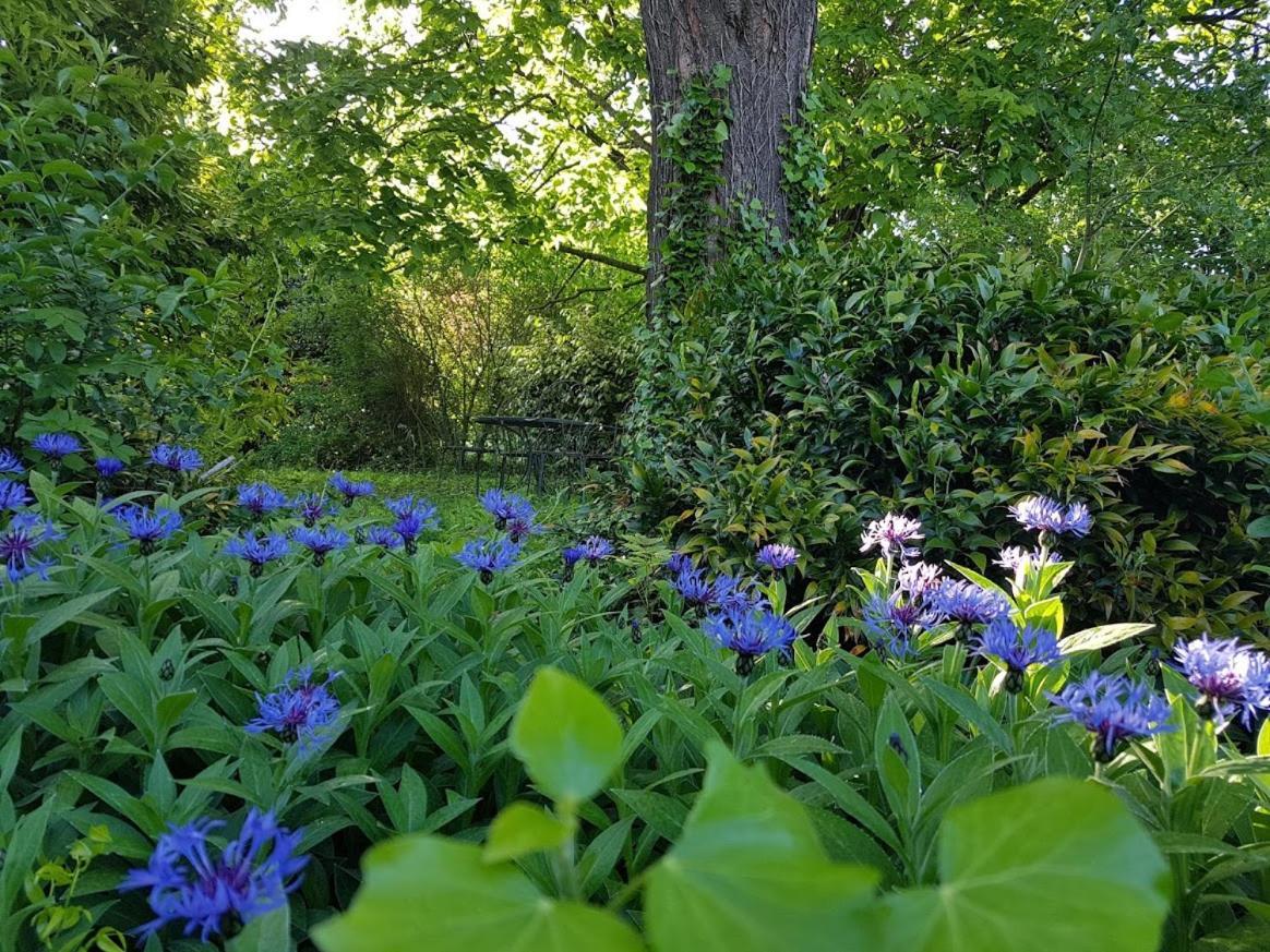 Le Clos De L'Ambre Bed & Breakfast Divajeu ภายนอก รูปภาพ