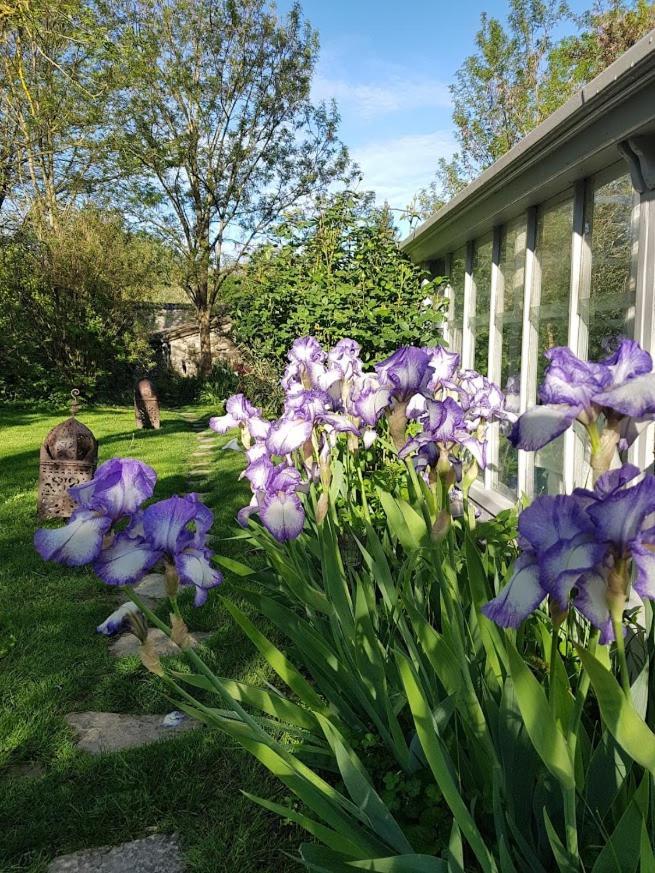 Le Clos De L'Ambre Bed & Breakfast Divajeu ภายนอก รูปภาพ