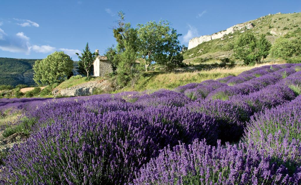 Le Clos De L'Ambre Bed & Breakfast Divajeu ภายนอก รูปภาพ